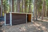 32667 White Fir Drive - Photo 50