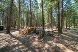 32667 White Fir Drive - Photo 54