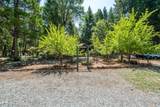 32667 White Fir Drive - Photo 56