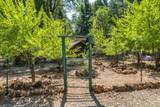 32667 White Fir Drive - Photo 57