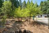 32667 White Fir Drive - Photo 58