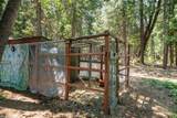 32667 White Fir Drive - Photo 64