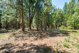 32667 White Fir Drive - Photo 67