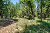 32667 White Fir Drive - Photo 68