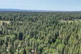 32667 White Fir Drive - Photo 80