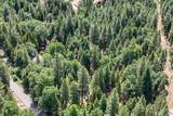 32667 White Fir Drive - Photo 82