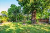 800 Gold Street - Photo 9