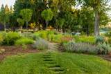 180 Agua Verdi Drive - Photo 15