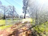 5321 Pine Street - Photo 2