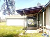 5321 Pine Street - Photo 3