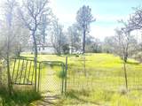 5321 Pine Street - Photo 48
