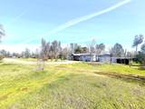 5321 Pine Street - Photo 49