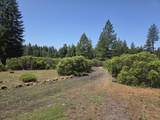 32711 Twin Pine Drive - Photo 42