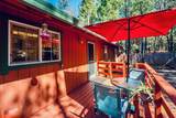 30821 Bambi Drive - Photo 35