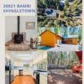 30821 Bambi Drive - Photo 41