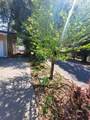 37023 Park Avenue - Photo 54