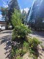 37023 Park Avenue - Photo 55