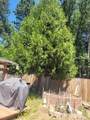 37023 Park Avenue - Photo 58