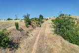  Modesta View Ct - Photo 8