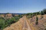  Modesta View Ct - Photo 9