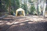 4990 Indian Creek Road - Photo 14