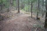 4990 Indian Creek Road - Photo 27