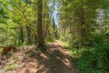 11221 Corral Bottom Road - Photo 30