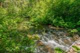 11221 Corral Bottom Road - Photo 51