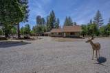 21652 Rattlebush Drive - Photo 1