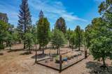 21652 Rattlebush Drive - Photo 46