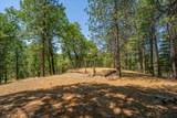 15288 Sherwood Forest Rd. Road - Photo 69