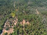 15288 Sherwood Forest Rd. Road - Photo 83