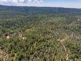 15288 Sherwood Forest Rd. Road - Photo 84