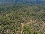 15288 Sherwood Forest Rd. Road - Photo 85