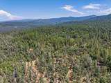 15288 Sherwood Forest Rd. Road - Photo 87