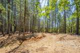 15288 Sherwood Forest Rd. Road - Photo 90