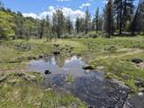 000 Pitville Road - Photo 2