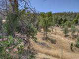 21484 Driftwood Trail - Photo 24