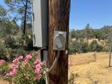 21484 Driftwood Trail - Photo 31