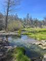 21484 Driftwood Trail - Photo 32