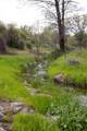 21484 Driftwood Trail - Photo 33