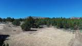 Lot 28 Butte Road - Photo 10