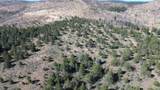 Lot 28 Butte Road - Photo 3