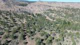 Lot 28 Butte Road - Photo 4