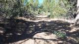 Lot 28 Butte Road - Photo 8