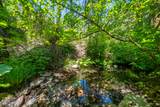 0000 E Fork Rd - Photo 42