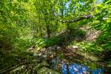 0000 E Fork Rd - Photo 43
