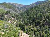 0000 E Fork Rd - Photo 52