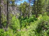 0000 E Fork Rd - Photo 69