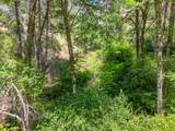 0000 E Fork Rd - Photo 70